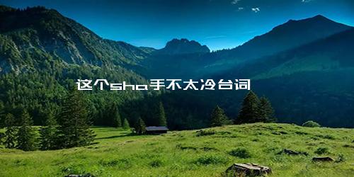 这个sha手不太冷台词