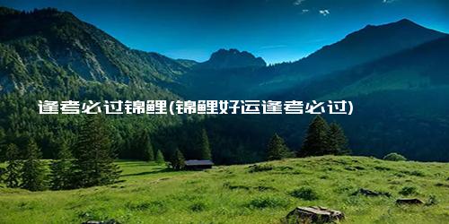 逢考必过锦鲤(锦鲤好运逢考必过)