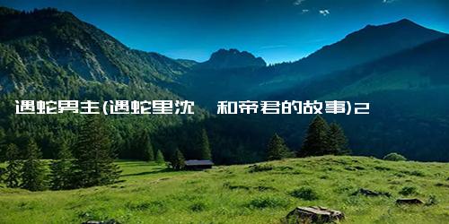 遇蛇男主(遇蛇里沈珏和帝君的故事)2