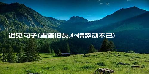 遇见句子(重逢旧友，心情激动不已)