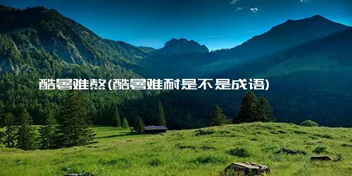 酷暑难熬(酷暑难耐是不是成语)