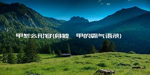 铠甲怎么形容(身披铠甲的霸气语录)