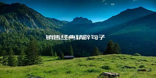 销售经典精辟句子