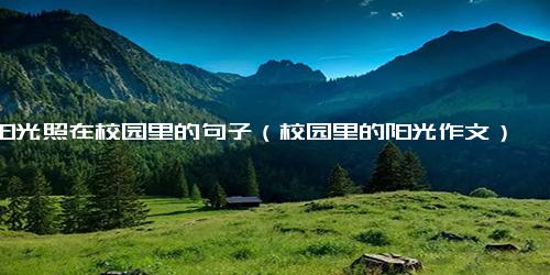 阳光照在校园里的句子（校园里的阳光作文）