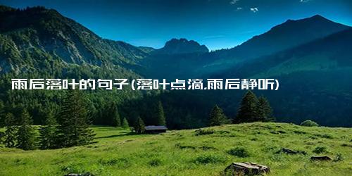雨后落叶的句子(落叶点滴，雨后静听)