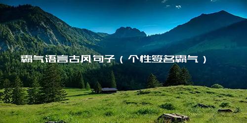 霸气语言古风句子（个性签名霸气）