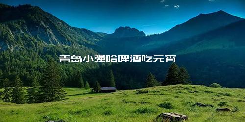 青岛小强哈啤酒吃元宵