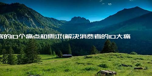 顾客的10个痛点和需求(解决消费者的10大痛点，满足他们的需求)