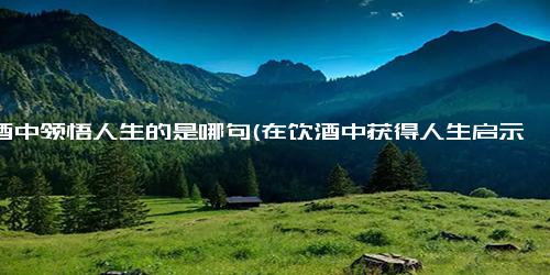 饮酒中领悟人生的是哪句(在饮酒中获得人生启示的经历)