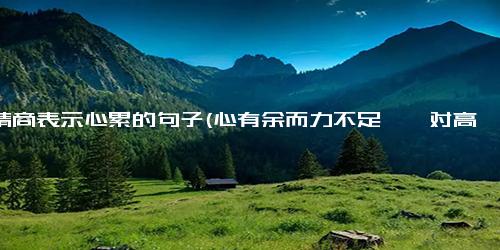 高情商表示心累的句子(心有余而力不足——对高情商表示心累的句子)