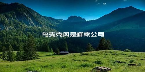 魅鸟麦克风是哪家公司