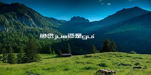 鳜鱼念jue还是gui