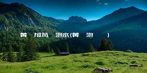 黄芪加苟枸泡水(黄芪泡枸杞)