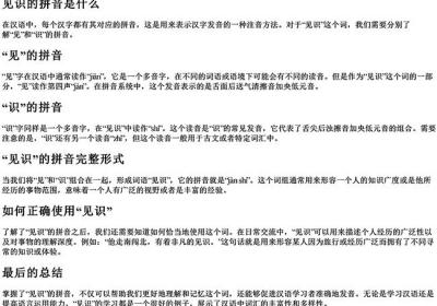 见识的拼音是什么-免费下载(word版可打印，PDF版可打印)