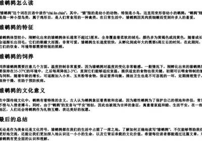 雏鹌鹑怎么读.docx免费下载(word版可打印)