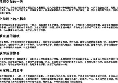 风雨交加造句子二年级简单.docx免费下载(word版可打印)