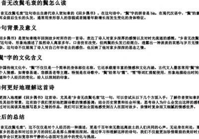乡音无改鬓毛衰的鬓怎么读.docx免费下载(word版可打印)
