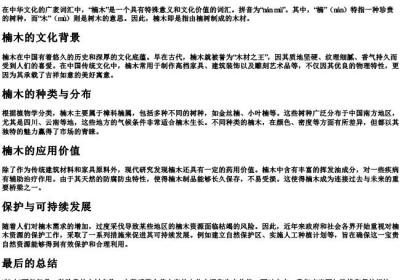 楠木的拼音和解释是什么.docx免费下载(word版可打印)