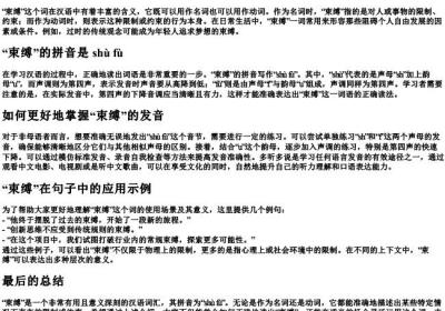 擦盘子的拼音.docx免费下载(word版可打印)