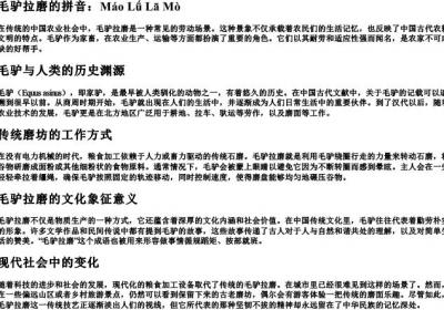 毛驴拉磨的拼音.docx免费下载(word版可打印)