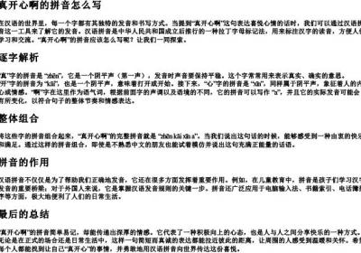 真开心啊的拼音怎么写.docx免费下载(word版可打印)