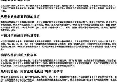 鸭梨是几声调的拼音.docx免费下载(word版可打印)