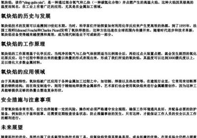 氧什么焰的拼音.docx免费下载(word版可打印)