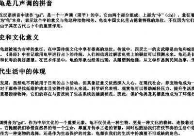 乌龟的龟是几声调的拼音.docx免费下载(word版可打印)