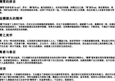 溯雪的拼音.docx免费下载(word版可打印)