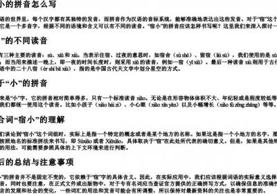 宿小的拼音怎么写.docx免费下载(word版可打印)