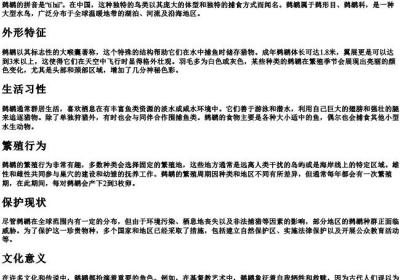 鹈鹕的拼音.docx免费下载(word版可打印)