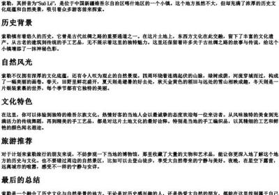 索勒的拼音.docx免费下载(word版可打印)