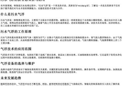 污水气浮的拼音怎么拼写的呀.docx免费下载(word版可打印)