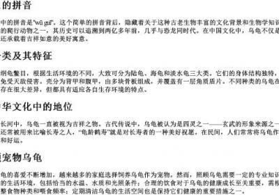 乌龟怎么的拼音.docx免费下载(word版可打印)