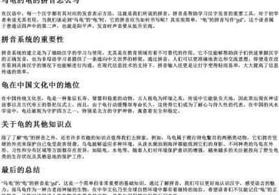 乌龟的龟的拼音怎么写.docx免费下载(word版可打印)