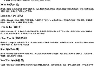 十个家用电器的拼音.docx免费下载(word版可打印)