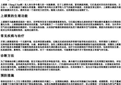 上颌窦的拼音.docx免费下载(word版可打印)