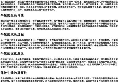 牛犊的拼音.docx免费下载(word版可打印)