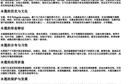 木莲的拼音.docx免费下载(word版可打印)