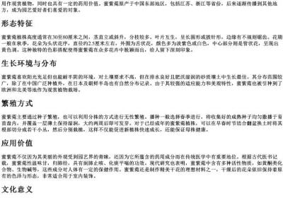 蜜紫菀的拼音.docx免费下载(word版可打印)