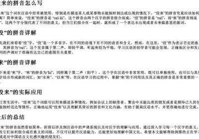 没来的拼音怎么写.docx免费下载(word版可打印)