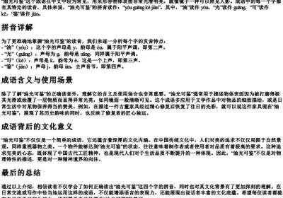 油光可鉴的读音拼音怎么读.docx免费下载(word版可打印)