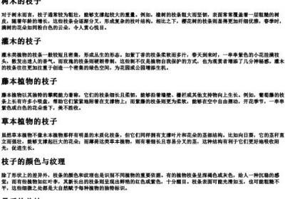 枝子长什么样子.docx免费下载(word版可打印)