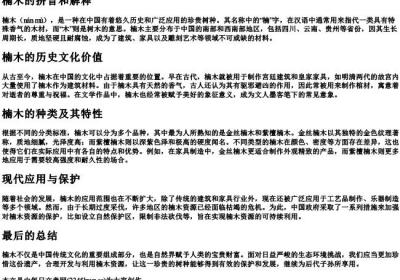 楠木的拼音和解释.docx免费下载(word版可打印)