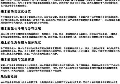 楠木的拼音是什么.docx免费下载(word版可打印)