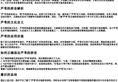 芦苇的拼音怎么读.docx免费下载(word版可打印)