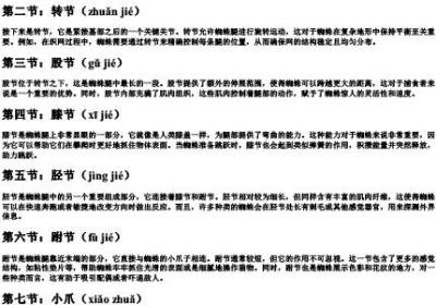 蜘蛛腿的七个关节的拼音.docx免费下载(word版可打印)