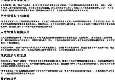 智者千虑或有一失的意思.docx免费下载(word版可打印)