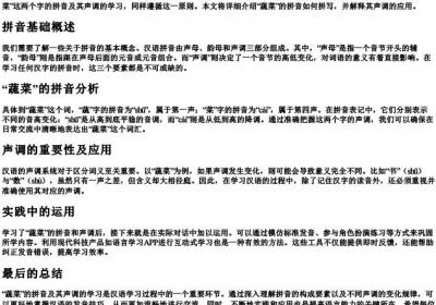 蔬菜的拼音怎么拼写声调.docx免费下载(word版可打印)