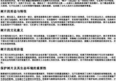 树片的拼音.docx免费下载(word版可打印)